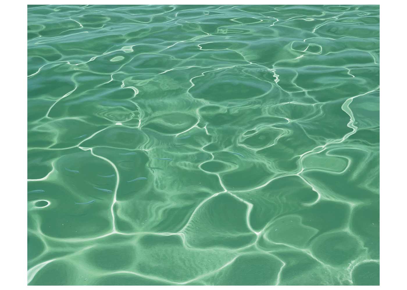 Moving Through Christine Woods Wild Wood Art Print