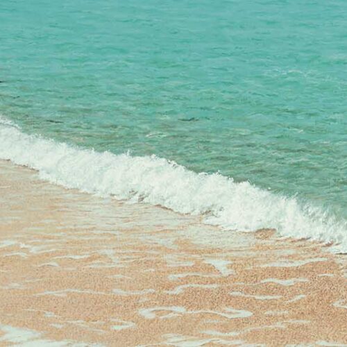 Sand and Sea Collection