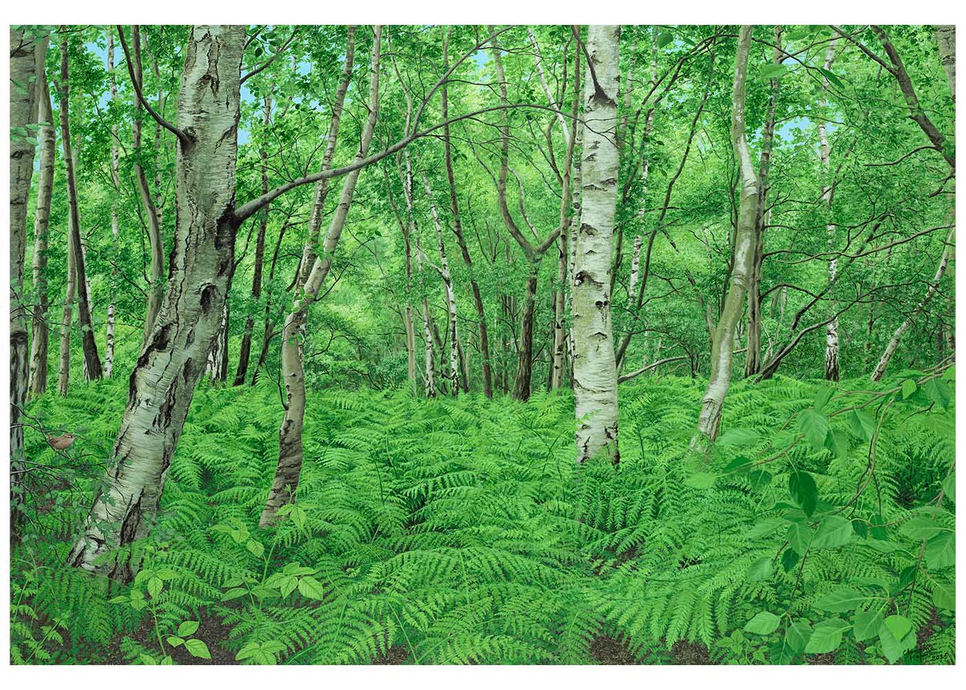 Where to Next Christine Woods Wild Wood Art Print